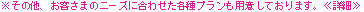 ※その他、お客さまのニーズに合わせた各種プランも用意しております。≪詳細≫